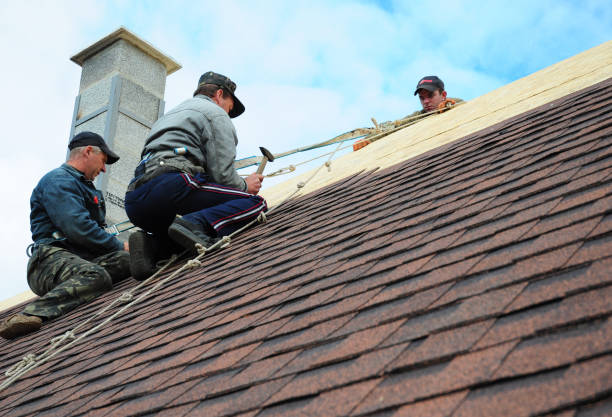 Best Roofing Contractors for Homes  in USA